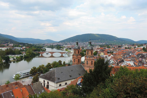 Miltenberg - Privat tur med rundvandring och slottsbesök