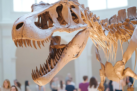 Museum of Zoology Sao Paulo Private Guided Tour & Transport 2-hour: Museum of Zoology Tour