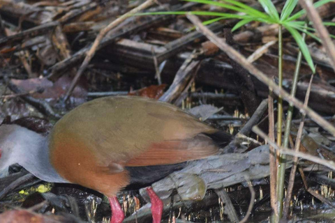 TAMBOPATA AMAZON WILD 3D/2N