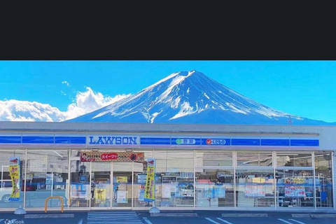 Från Tokyo: Fuji-berget eller Hakone Sightseeing Privat dagstur