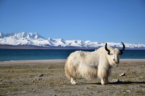 From Kathmandu-8-Day Tibet and Everest Base Camp Tour