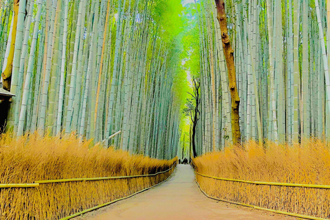 Kyoto Full-Day Customizable Private Tour with English Guide Luxury Toyota Land Cruiser Prado