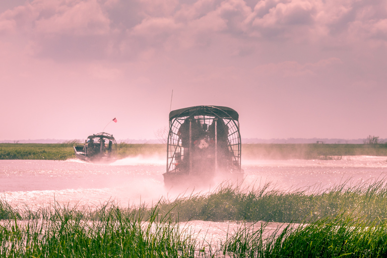 Miami: Everglades Airboat Ride, Wildlife Show & Transport
