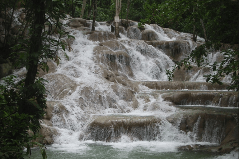 Cataratas del río Dunn: Excursión de 5 horas desde Montego Bay