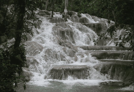 dunns river falls 5hour excursion from montego bay