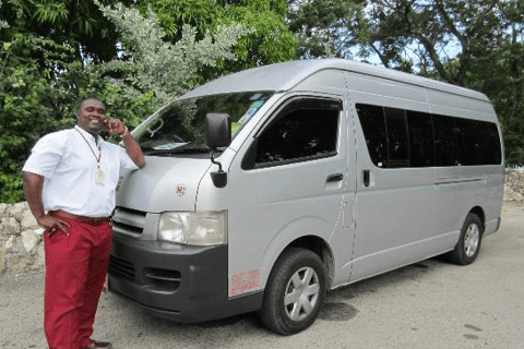 Dunn&#039;s River Falls: excursão de 5 horas saindo de Montego Bay