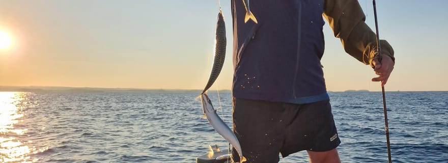 Tour en bateau de pêche à Rovinj