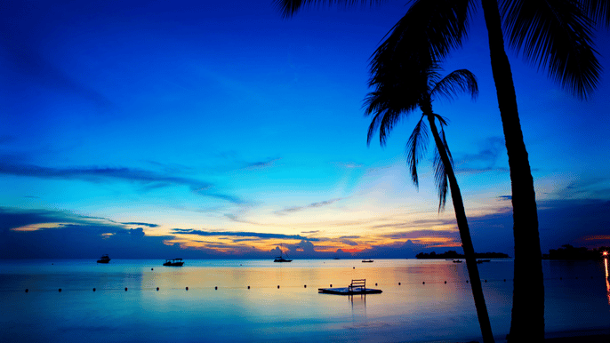 negril 7hour tour from montego bay