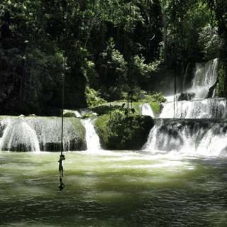 YS Falls & Appleton Estate Rum Tour from Montego Bay