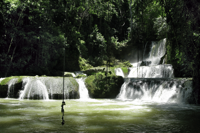 YS Falls &amp; Appleton Estate Rum Tour saindo de Montego Bay