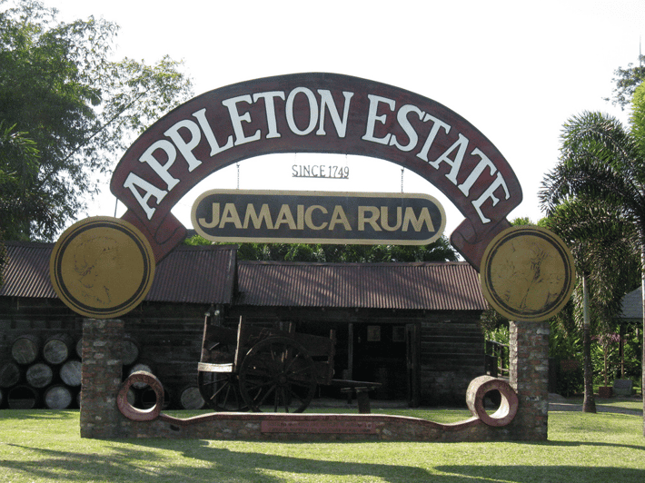 YS Falls & Appleton Estate Rum Tour from Montego Bay GetYourGuide
