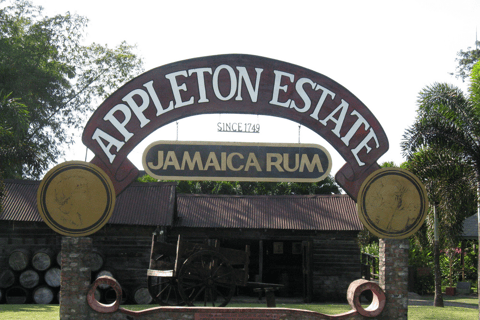 YS Falls &amp; Appleton Estate Rum Tour saindo de Montego Bay