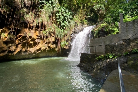 Half day spice and waterfall tour