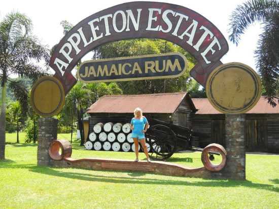 big island rum tour