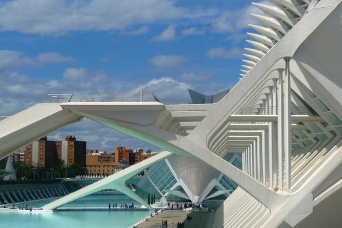 Hoogtepunten van Valencia: privérondleiding van een halve dag