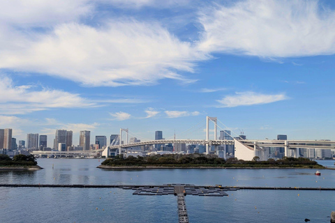 Tokyo Luxury Private City Tour Customizable with Guide