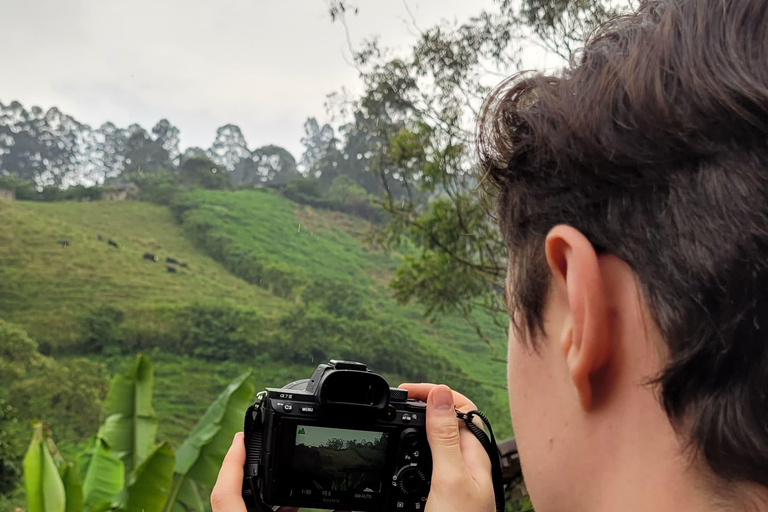 Medellín: Coffee Farm Experience with Tasting