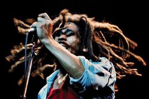 Montego Bay: Bob Marley Tour to 9 Mile, St. Ann Private Tour