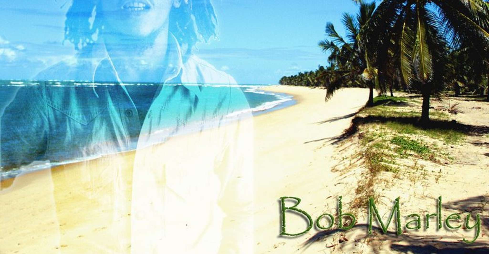 蒙特哥湾 鲍勃马里游九里 圣安 - Hizvo