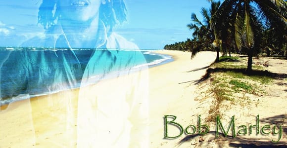 Montego Bay: Bob Marley Tour to 9 Mile, St. Ann