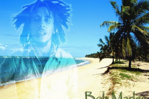 Montego Bay: recorrido de Bob Marley a 9 Mile, St. AnnTour privado
