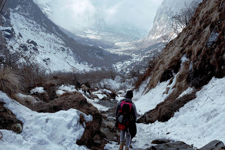 From Kathmandu: 5, 6, or 7-Day Langtang Valley Guided Trek From Kathmandu: 5-Day Langtang Valley Guided Trek