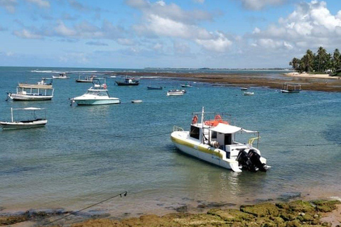 From Salvador: Praia do Forte and Guarajuba Day Trip