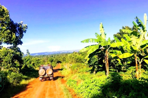 WILD MAVERICK —UGANDA LAND ROVER ESCAPADES | over-lander