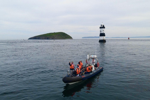 Conwy: Great Orme Sea Life Voyage