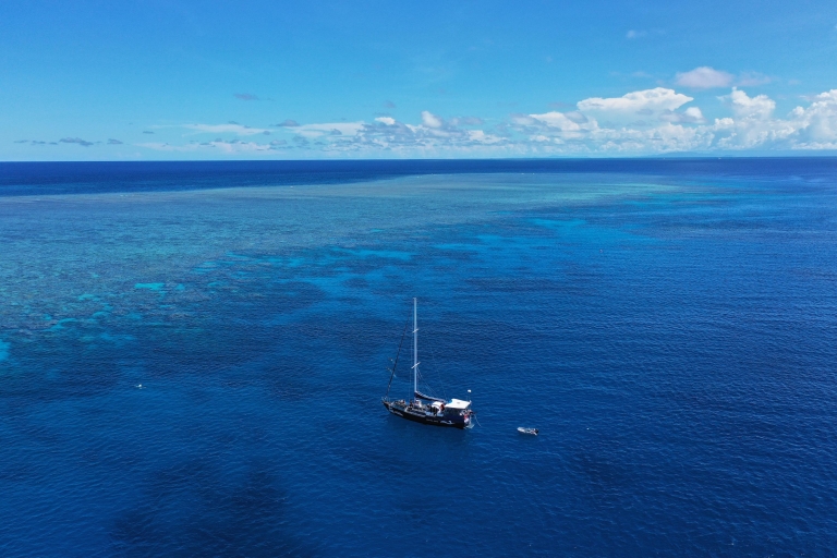Cairns: 2-daagse duik- en snorkeltrip in het Groot Barrièrerif1 passagier in gedeelde cabine