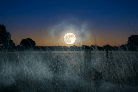 York: Haunted Highways Ghost Tour with Pickup & Drop-Off