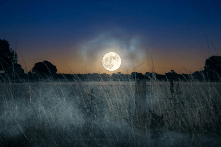 York: Haunted Highways Ghost Tour with Pickup & Drop-Off