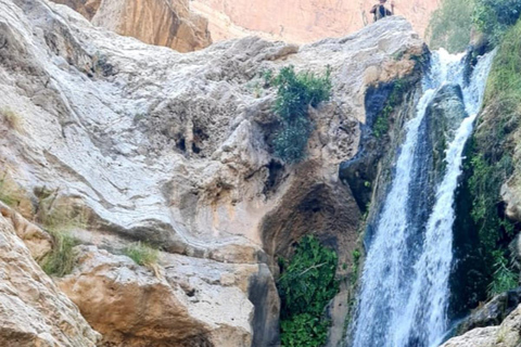 Muscat: Wadi Tiwi, Mibam, Frankincense Tree & Beach Tour