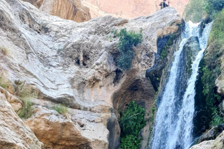 Muscat: Wadi Tiwi, Mibam, Frankincense Tree & Beach Tour