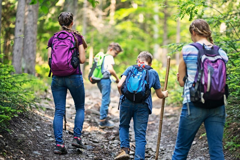 Katmandou : randonnée guidée au monastère de Jamacho avec vuesAucun service de prise en charge et de retour, uniquement des services de guide