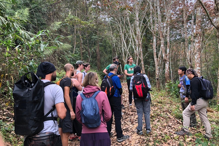 Chiang Rai: Jungle Adventure-Group Trekking & Bamboo Cooking