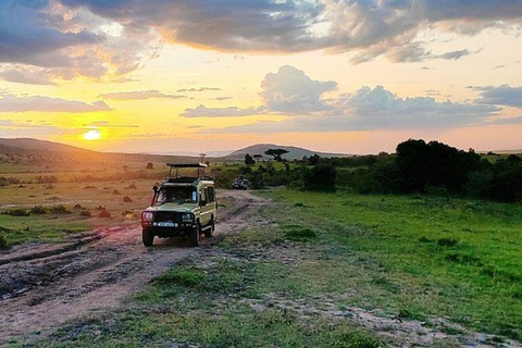 4-Day Masai Mara & Lake Nakuru Group Safari From Nairobi