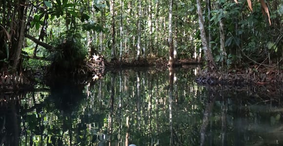 Krabi: Bor Thor Kayaking Adventure with Cave Exploration