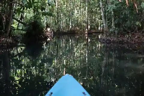 Krabi: Bor Thor Kayaking Adventure with Cave Exploration