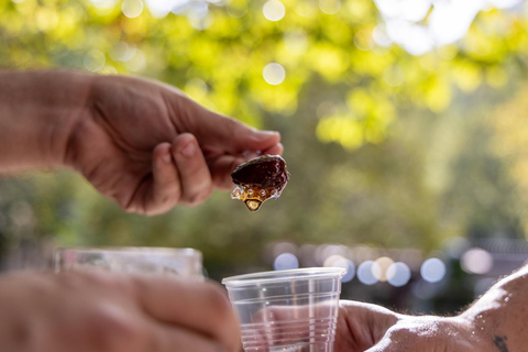 Z Salonik: Termy Pozar i wodospady w Edessie