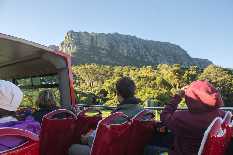 Cape Town: Hop-On Hop-Off Bus Tour with Optional Cruise 1-Day Hop-On Hop-Off Bus Ticket