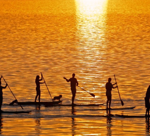 Safaris & wildlife activities