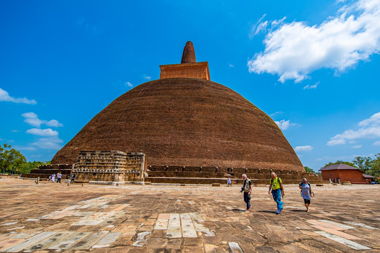 From Trincomalee: Anuradhapura Guided Day Trip with Pickup