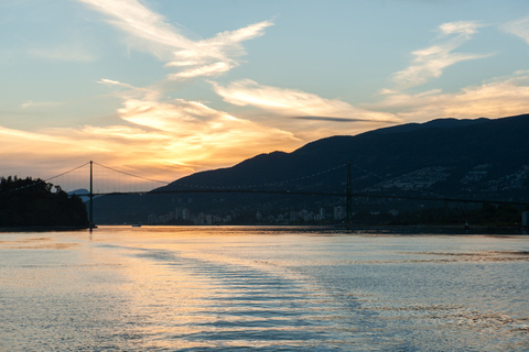 Vancouver : Croisière en soirée avec dîner buffet