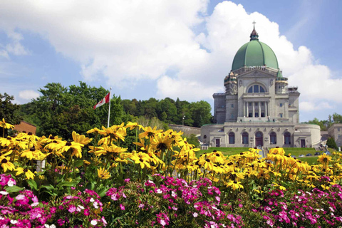 Montreal: Guidad stadsvandring på halvdagen