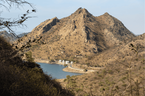 Udaipur: Excursión al Lago del Tigre 3 Horas con Guía