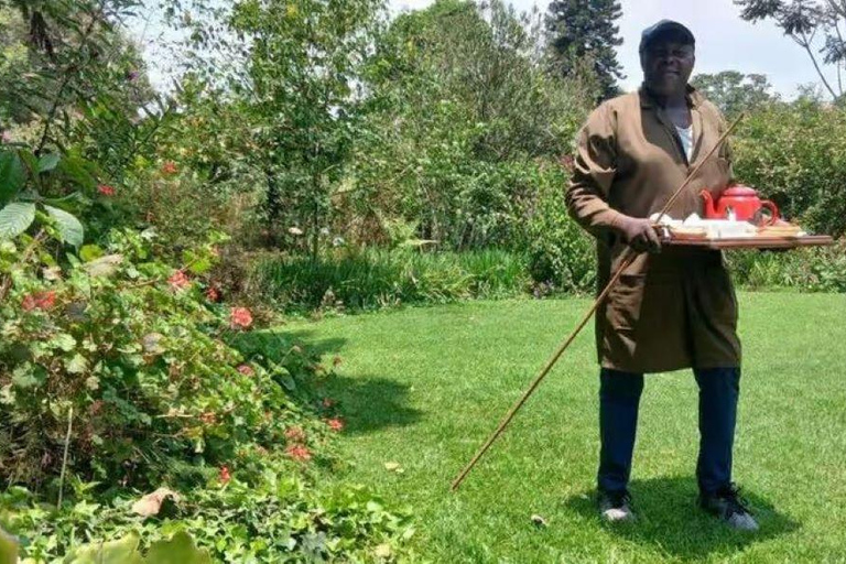 Kiambethu Tea Farm Tour with Lunch