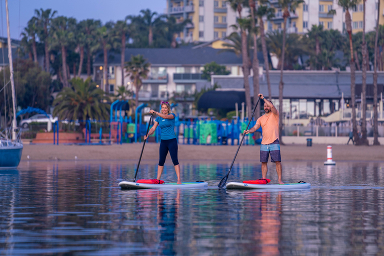 Marina del Rey: Paddleboard Rental Experience 1,5h Rental Experience