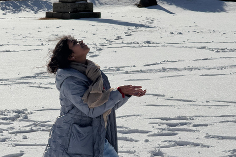 Jeju: Winter SouthWest Tangerine Pick, Snow, Camellia, Tour