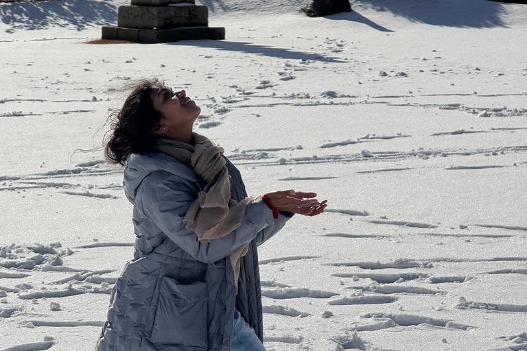 Jeju: Winter SouthWest Tangerine Pick, Snow, Camellia, Tour